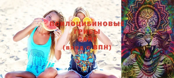 ешки Нефтегорск