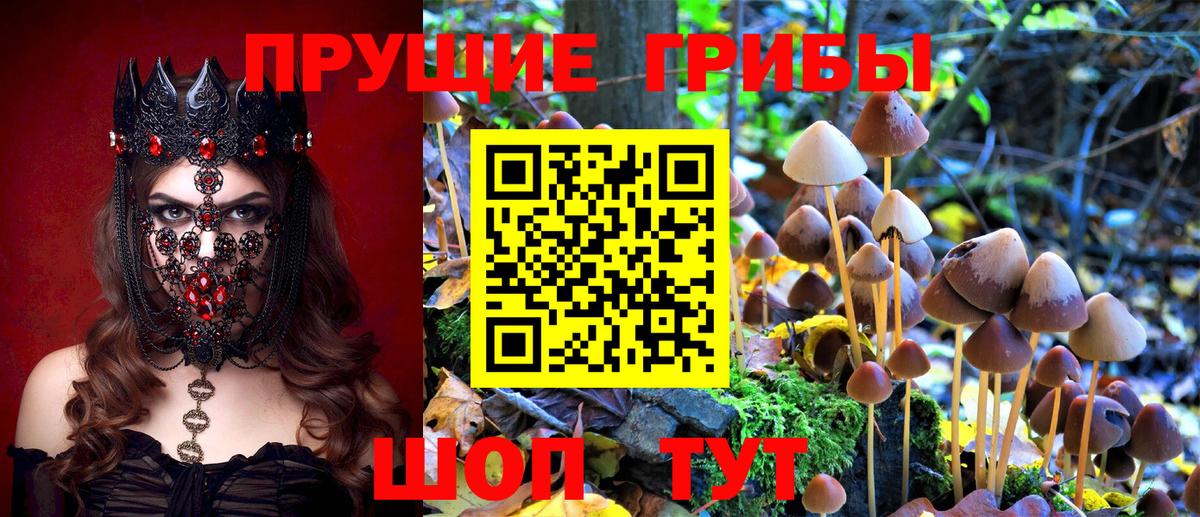 Галлюциногенные грибы ЛСД Кыштым