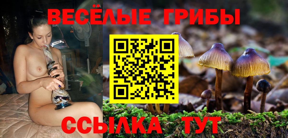 Кокаин  Кыштым  Где найти наркотики?  Вход с VPN  Гашик  МЕФ  ГАШ  МЕФ 