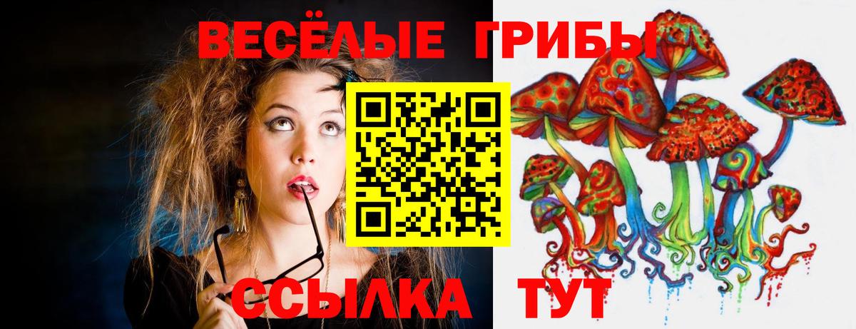 Кыштым  Псилоцибиновые грибы Magic Shrooms  магазин  наркотиков  Вход с VPN  Псилоцибиновые грибы мухоморы 